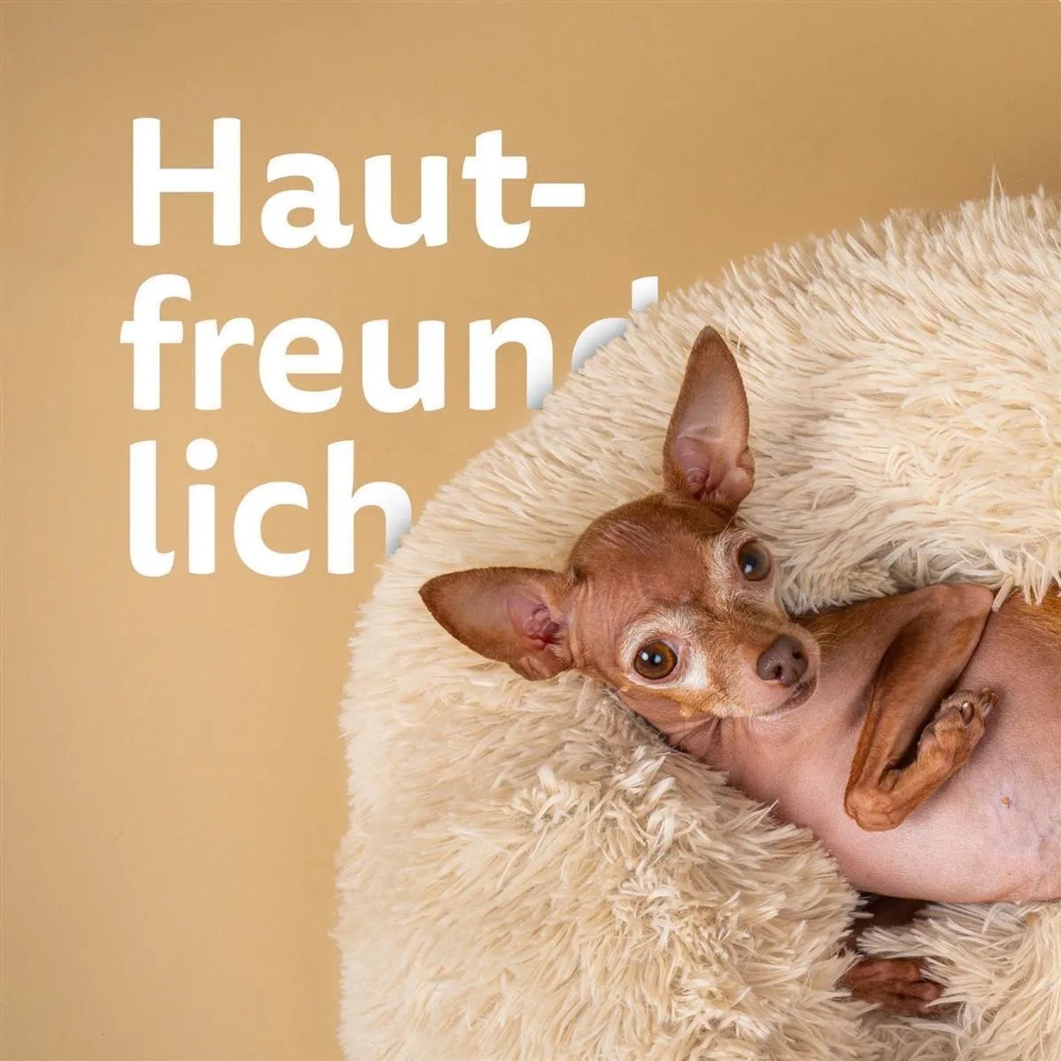 Beiges, rundes Bestlivings Hundebett „Fluffy“ (Ø50cm) mit Hund liegt entspannt im Katzenbett.