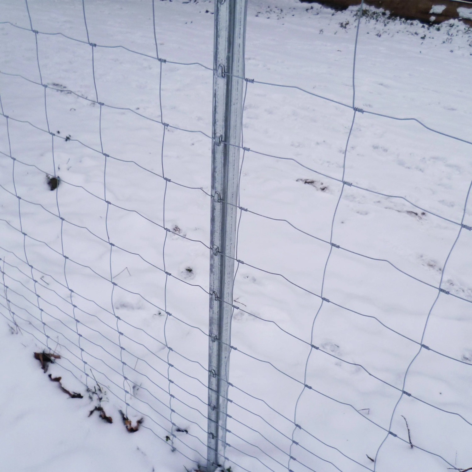 Wildzaun-Set mit Knotengeflecht, Zaunpfosten und Spanndraht im Schnee.