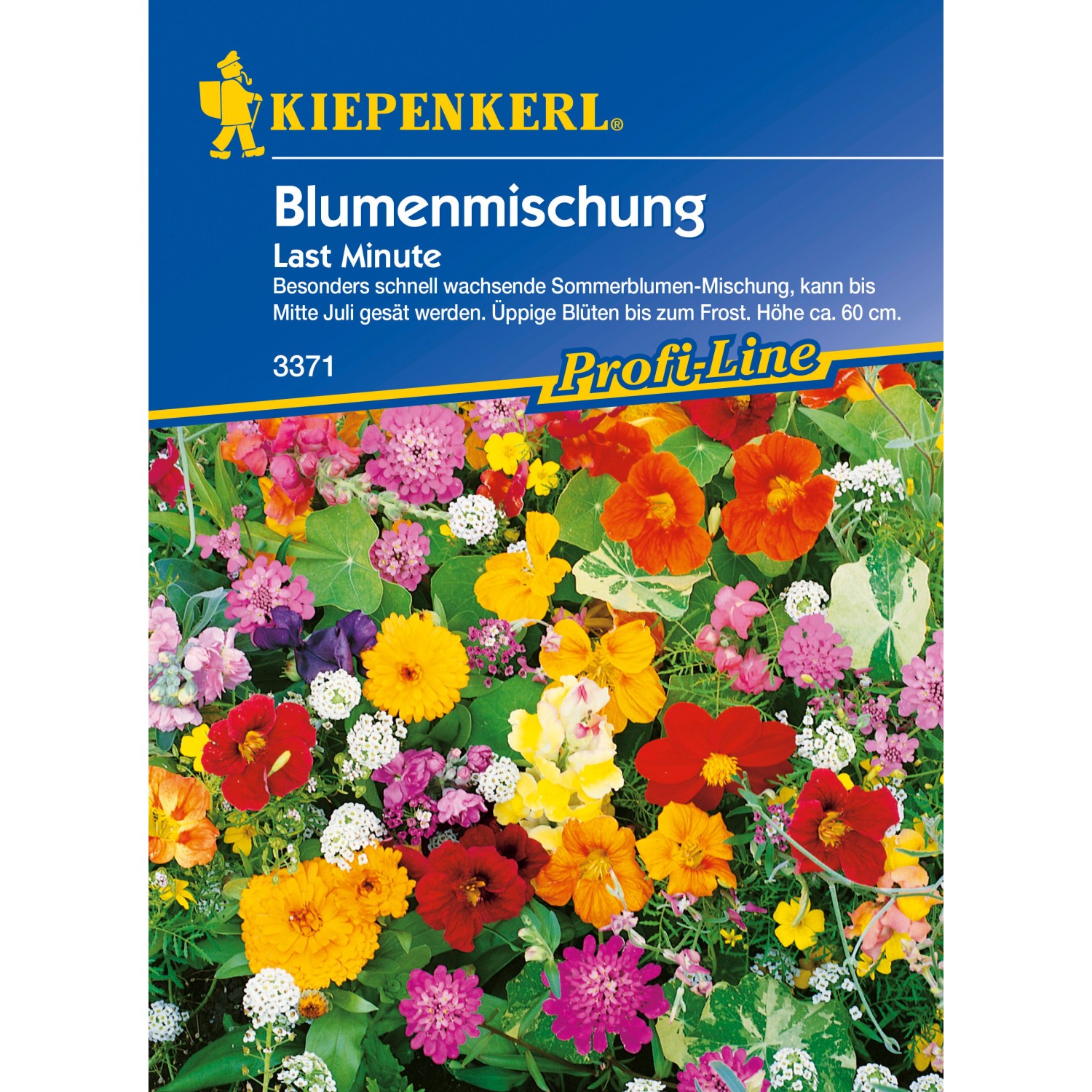 Blumenmischung Last Minute