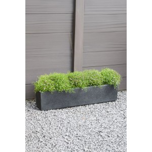 Anthrazitfarbener Vivanno Blumenkasten Flobo 80 cm aus Beton, bepflanzt mit grünen Pflanzen.