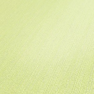 Grüne Tadessi Vliestapete Uni M1 No 2558: Einfarbige Unitapete für Wandgestaltung.