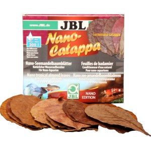 JBL Seemandelbaumblätter Nano-Catappa für Aquarien, fördert Wohlbefinden und beugt Krankheiten vor.