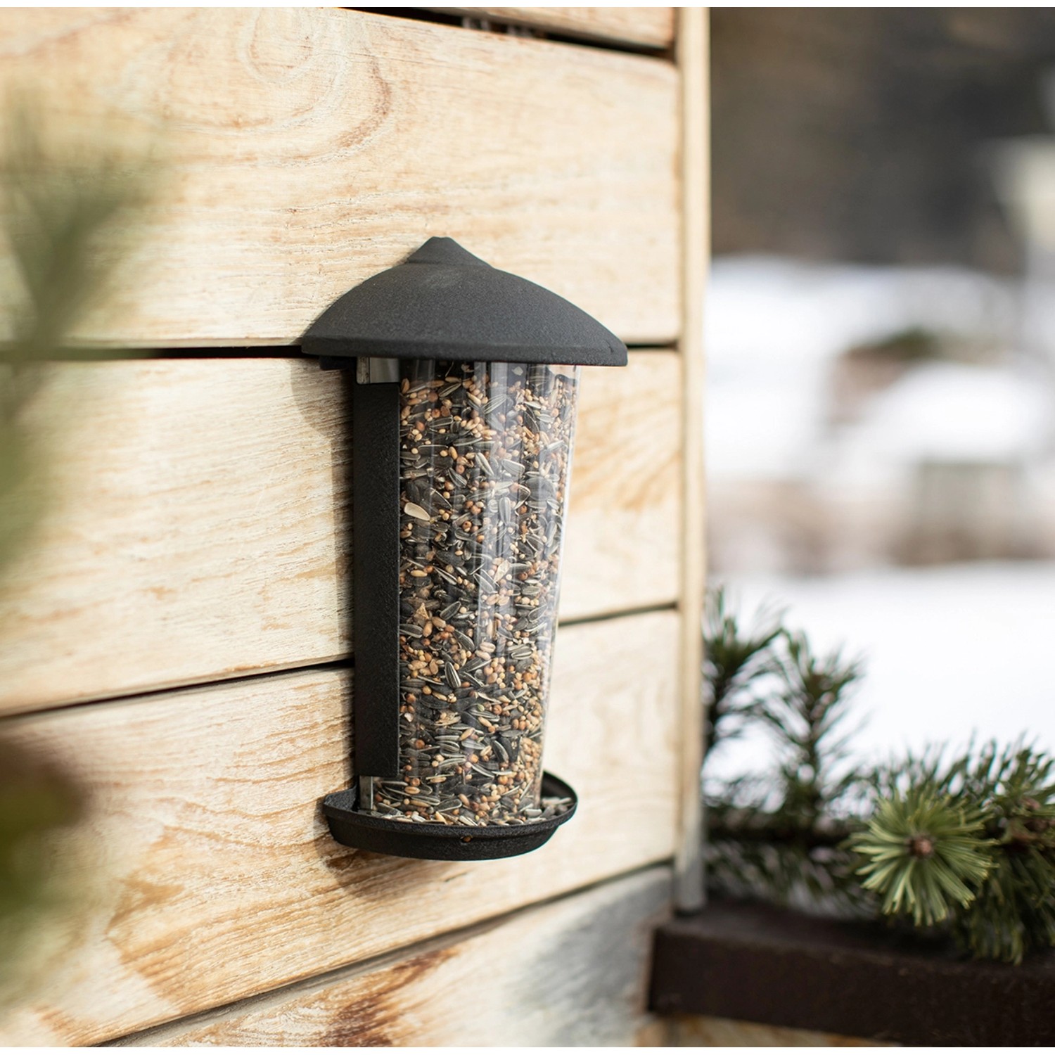 Wand-Vogelfuttersilo aus Metall und Kunststoff, gefüllt mit Vogelfutter.