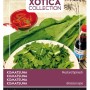 Buzzy Xotica Komatsuna Mustard Spinach SamenCa. 3 grAussaat im Freiland von Anfang Mai