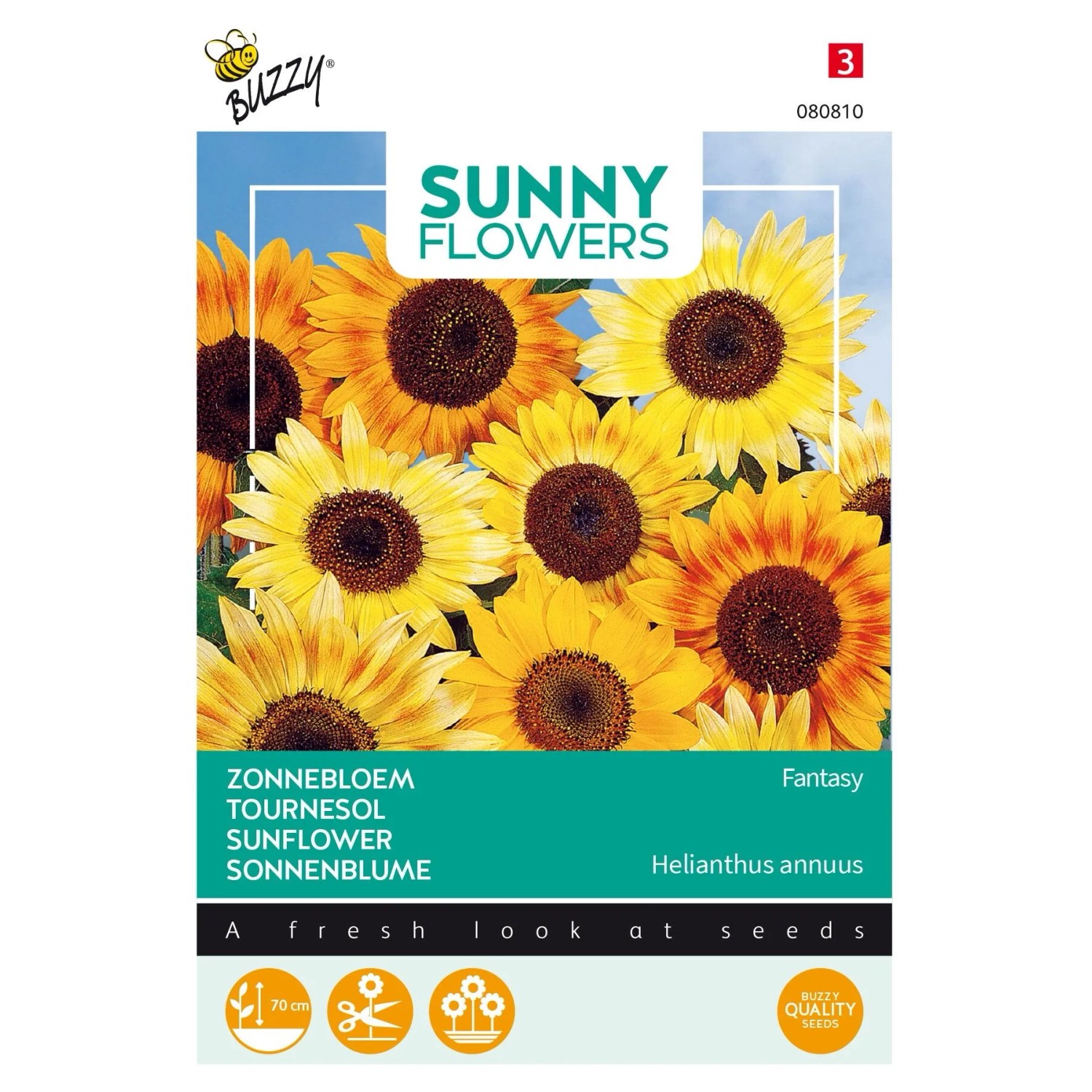 arborix Sonnenblume 'Fantasy' Buzzy Sunny Flowers Samen Ca. 1 G Für Beet Und Topf