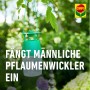 Compo BIO Pflaumenwickler Lockstoff in grüner Falle im Garten.