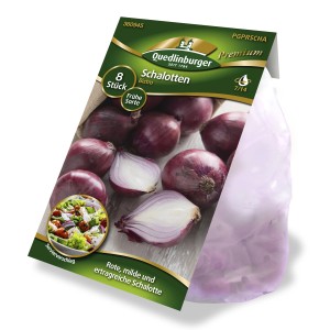Packung Quedlinburger Schalotten Rot Rund 'Biztro', rote, runde Schalotten.