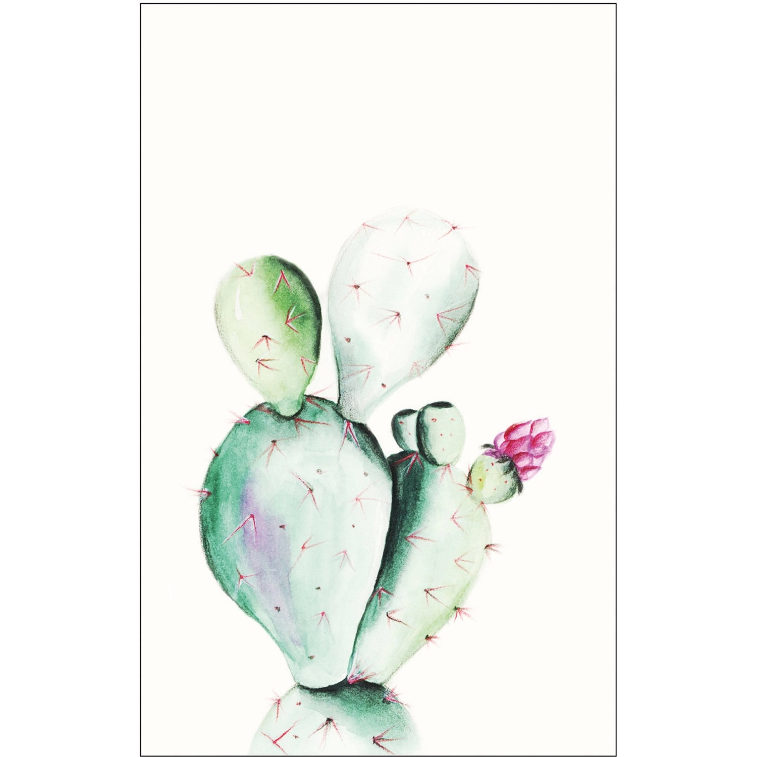 Komar Wandbild Prickly Pear 50 x 70 cm günstig online kaufen