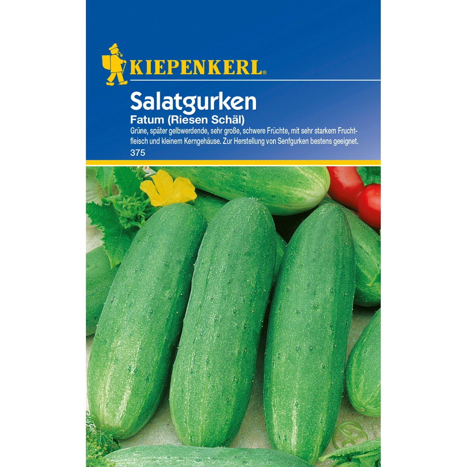 Kiepenkerl Salatgurken "Fatum" Riesen Schäl kaufen bei OBI