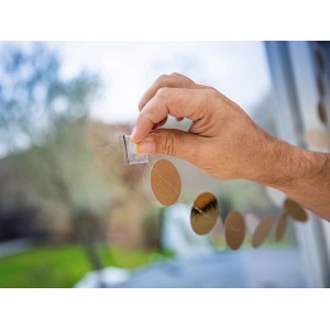 Hand zieht transparentes LUX-TOOLS PRO Nano Tape von einer Fensterscheibe ab. Doppelseitiges Klebeband für Innen & Außen.