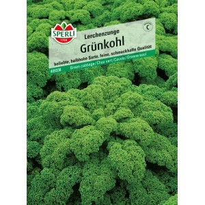 Sperli Grünkohl Lerchenzunge: Winterharte Gemüsesamen für leckeren Grünkohl.