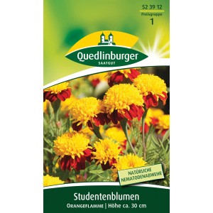 Packung Studentenblume 'Orangeflamme' mit orange-gelben Blüten, ca. 30cm hoch.