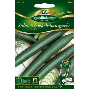 Saatgutpackung Quedlinburger Salatgurke Saladin für Gewächshausanbau.