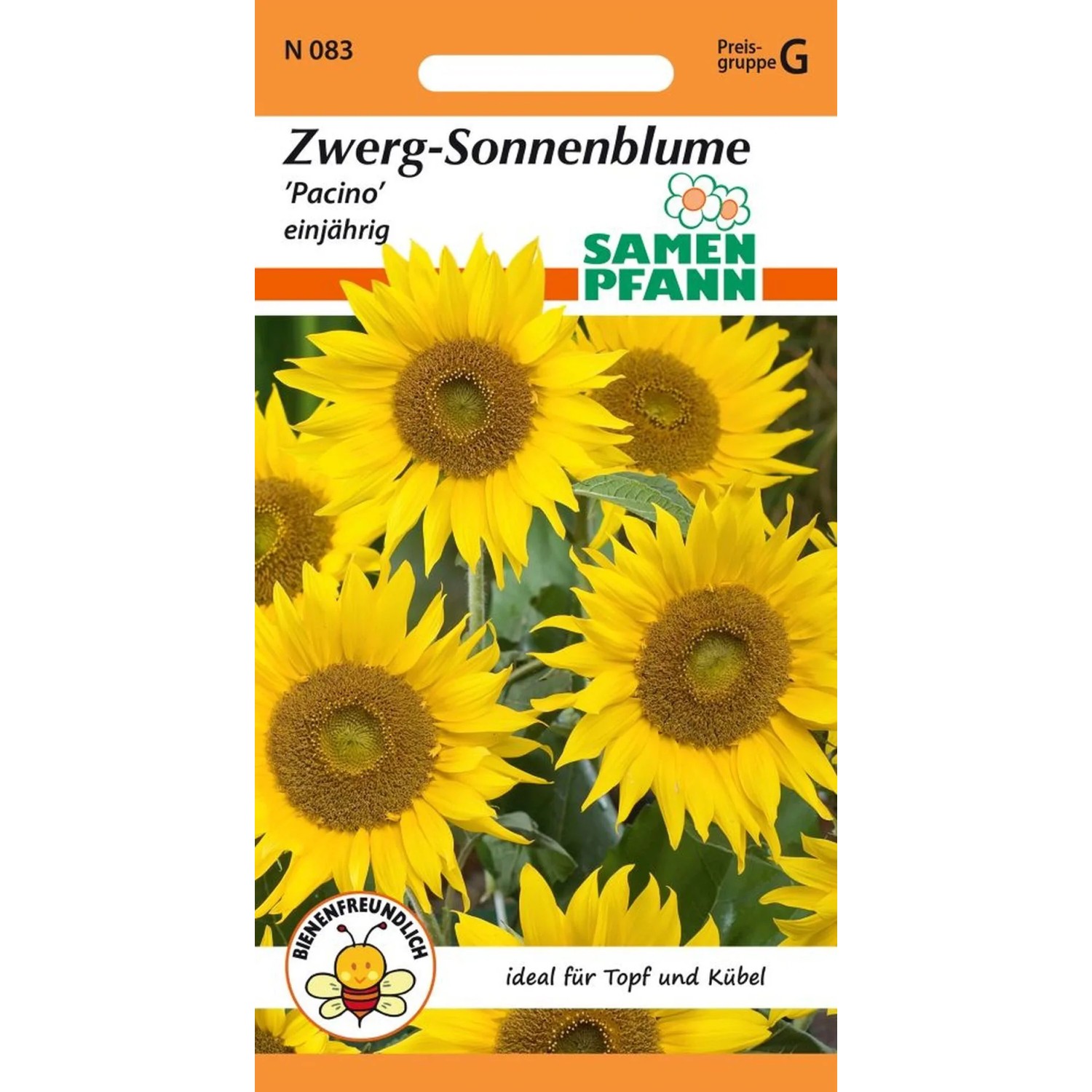 SAMEN PFANN Sonnenblume Zwergsonnenblume Pacino