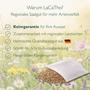 LaCaTho Wegwarte Samen: Offene Papiertüte mit braunen Samen auf Blumenwiese. Text zu Keimgarantie, Qualitätssaatgut, Aussaatanleitung.