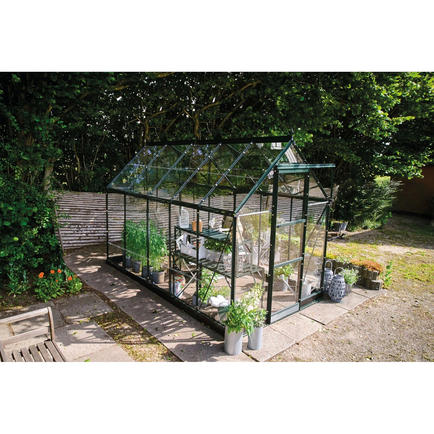 Halls Gewächshaus Icon 6 Grün 6,1 m² günstig online kaufen