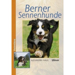 Berner Sennenhunde