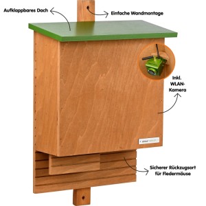 Dobar Fledermauskasten aus Kiefernholz mit grünem Dach, integrierter WLAN-Kamera und App zur Beobachtung. Einfache Wandmontage.