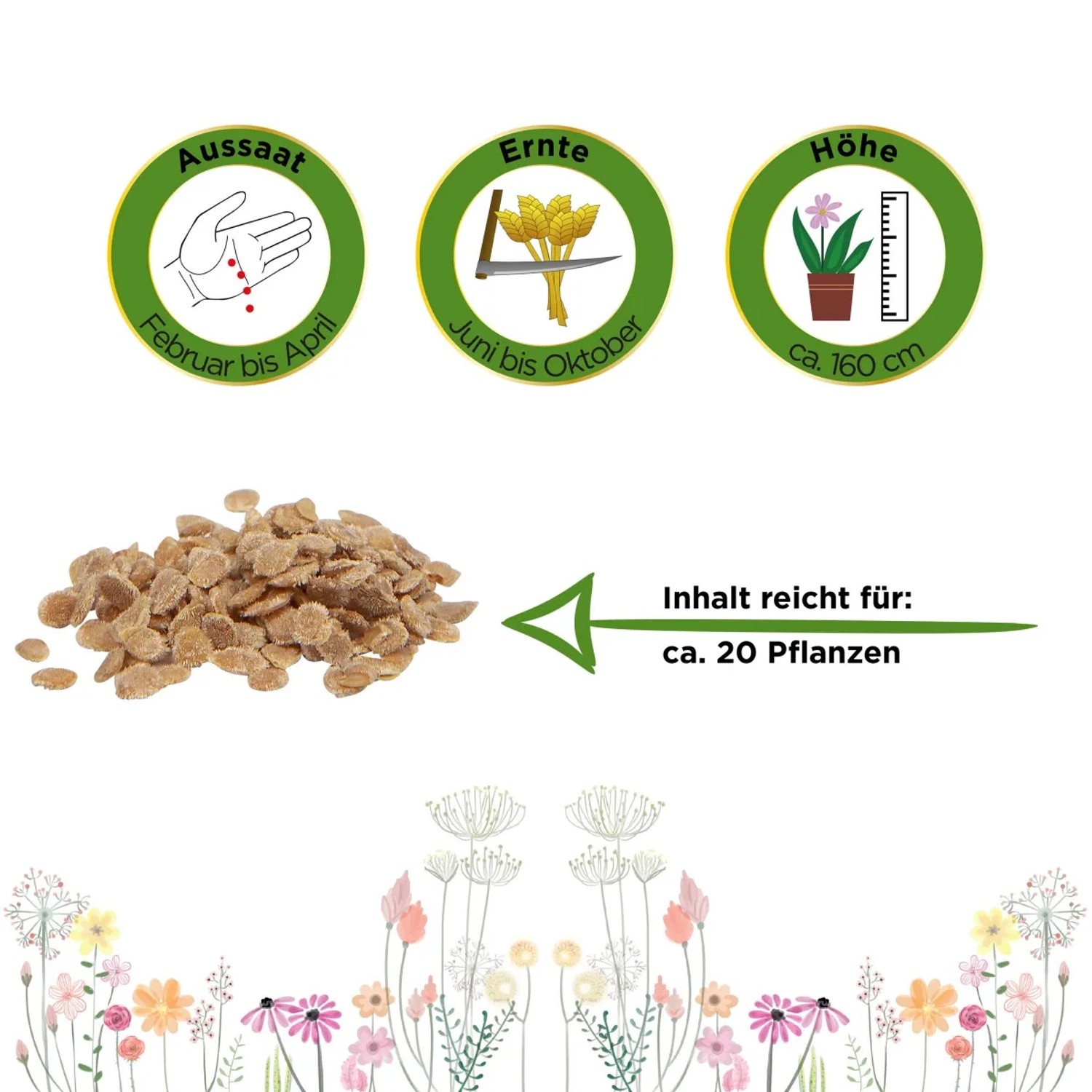 Samen der 'Roma Vf' Buschtomate für ca. 20 Pflanzen. Ideal für Suppen und Soßen.