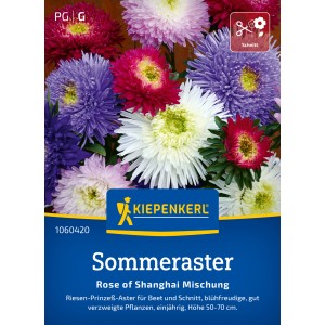 Mehrfarbige Sommeraster 'Rose of Shanghai Mix' von Kiepenkerl, ideal für Beet und Vase.