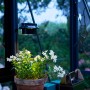 Juliana LED Solar Lampe, schwarz, für Gewächshäuser, montiert mit Pflanze im Topf.