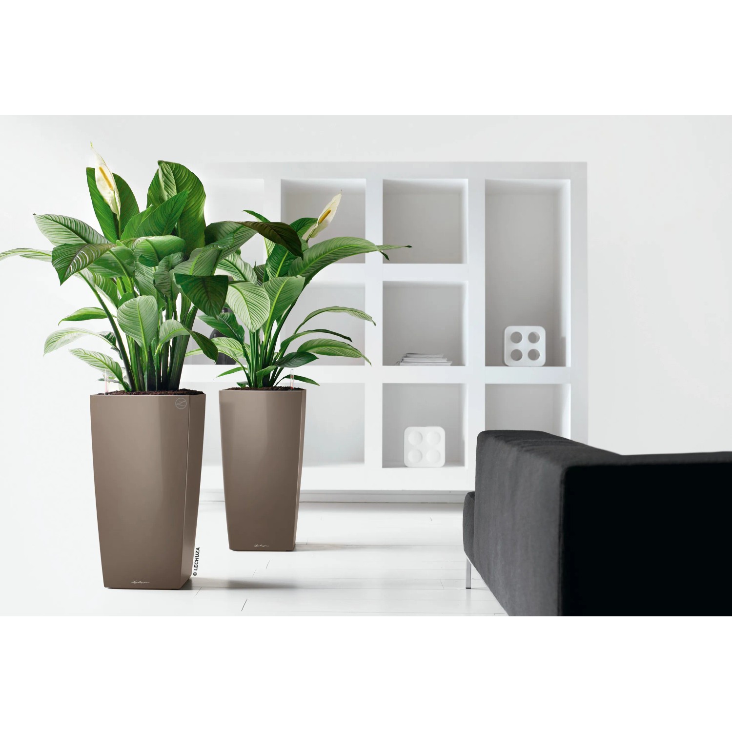 Zwei hochglanz Taupe Lechuza Cubico Premium Pflanzsäulen 30x30 cm mit grünen Pflanzen im Wohnraum.