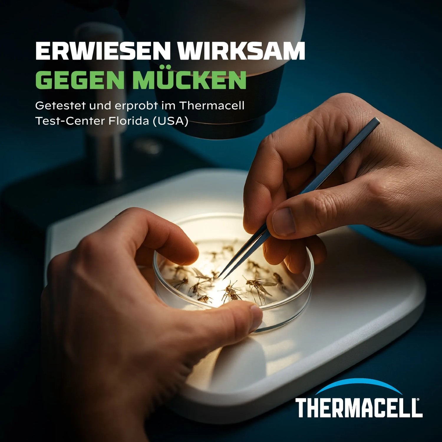 Mückenabwehr Test: Pinzette hält Mücke unter Mikroskop. Thermacell Insektenschutz.