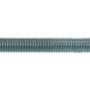 Fischer Ankerstange RG M 8 x 150, verzinkt, mit Mutter und Unterlegscheibe, für Dübel.
