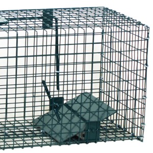 Grüne Moorland Safe Lebendfalle, 23x23x60cm, mit einem Eingang für Tierschreck.