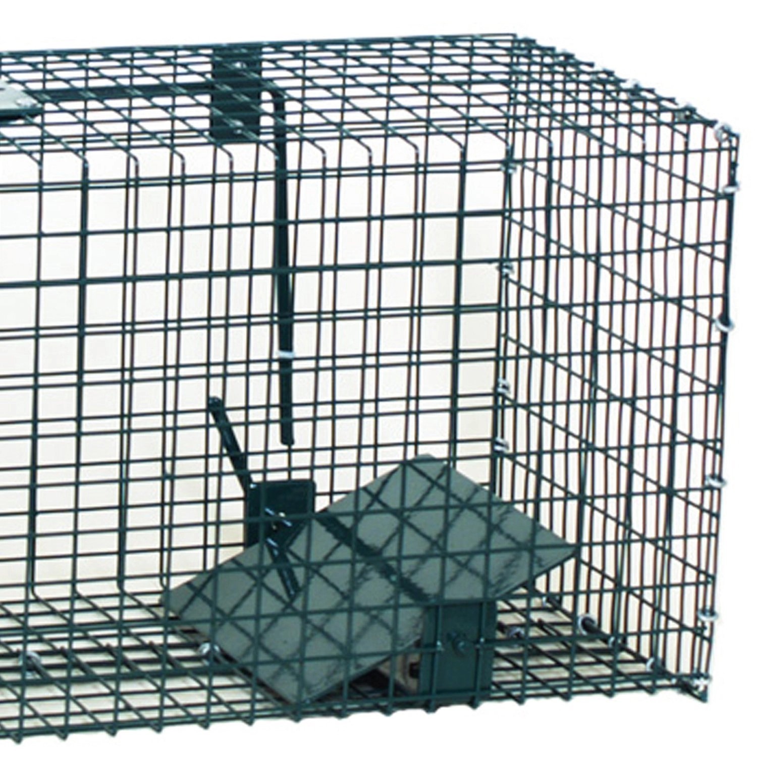 Grüne Moorland Safe Lebendfalle, 23x23x60cm, mit einem Eingang für Tierschreck.