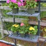 Palram Hängebord-Set im Gewächshaus mit Blumen. Kunststoffregale für mehr Platz und Ordnung.