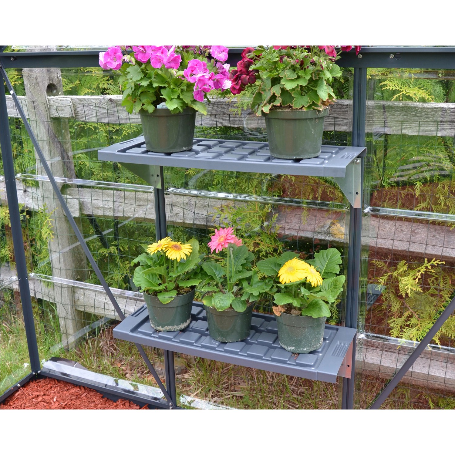 Palram Hängebord-Set im Gewächshaus mit Blumen. Kunststoffregale für mehr Platz und Ordnung.