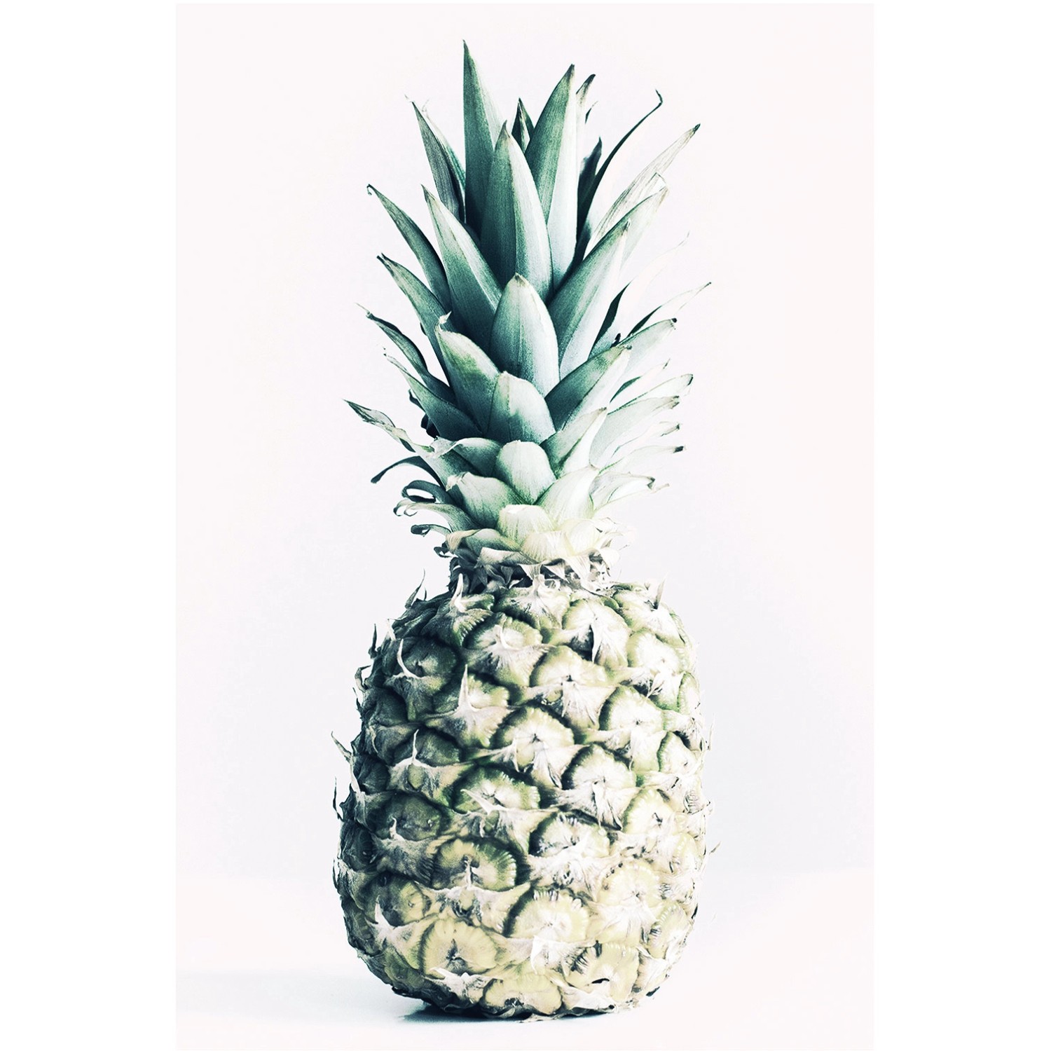 Komar Wandbild Pineapple 50 x 70 cm günstig online kaufen