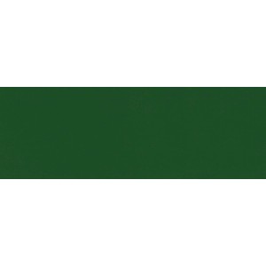 Farbfeld der Osmo Landhausfarbe Tannengrün, geeignet für Wetterschutz.