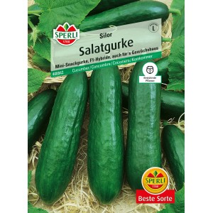 Sperli Salatgurken Silor F1-Hybride Samenpackung mit grünen Gurken.