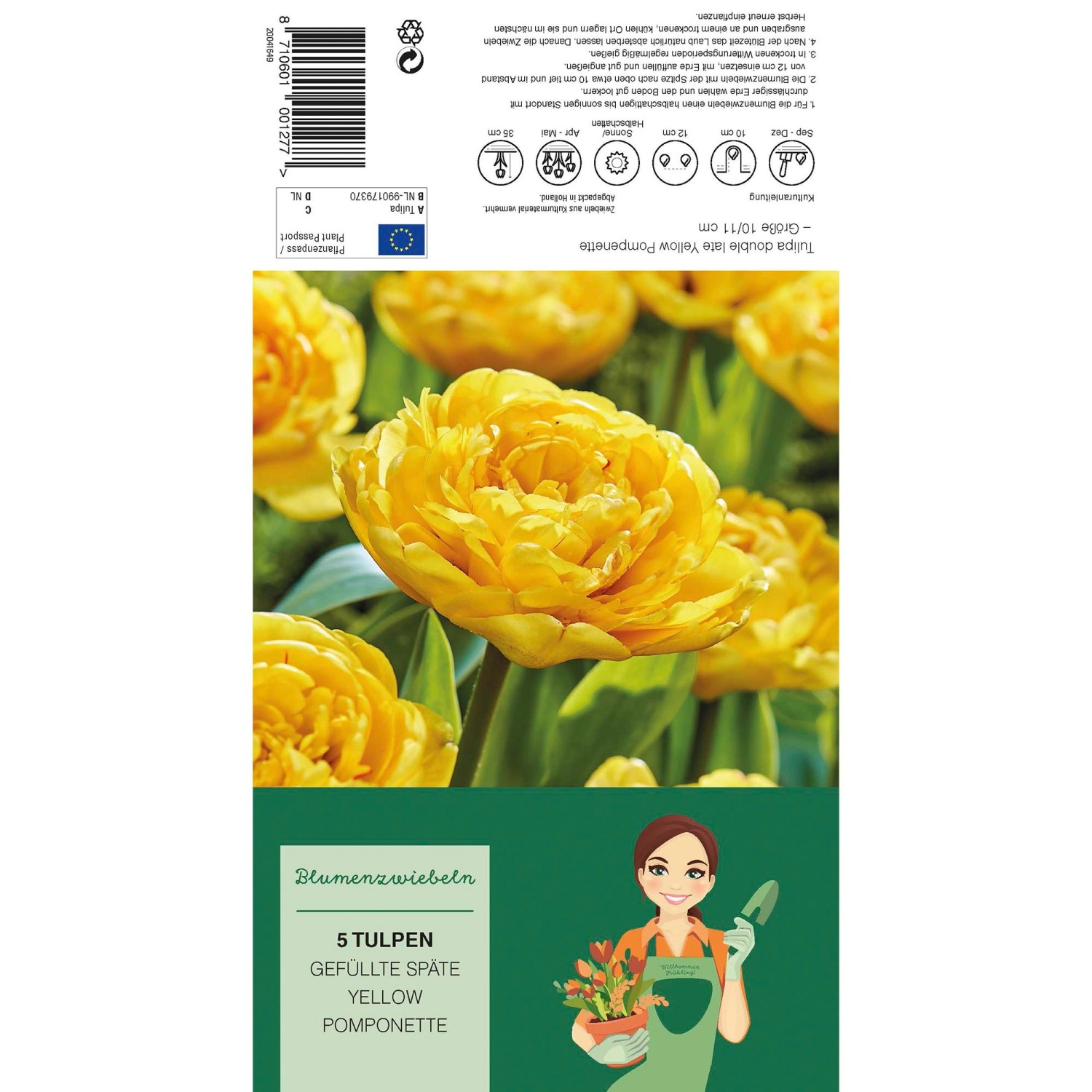 Wo Kann Man Gelbe Säcke Kaufen Pfingstrosen-Tulpe "Yellow Pomponette" Gelb 5 Stück Tulipa kaufen bei OBI