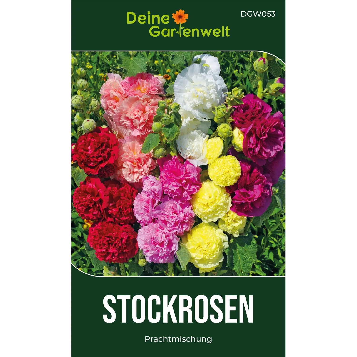 Deine Gartenwelt Stockrosen Prachtmischung Samen
