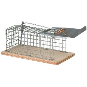 Drahtkäfig-Mausefalle: Lebendfalle aus Draht und Holz, robust und einfach zu bedienen.