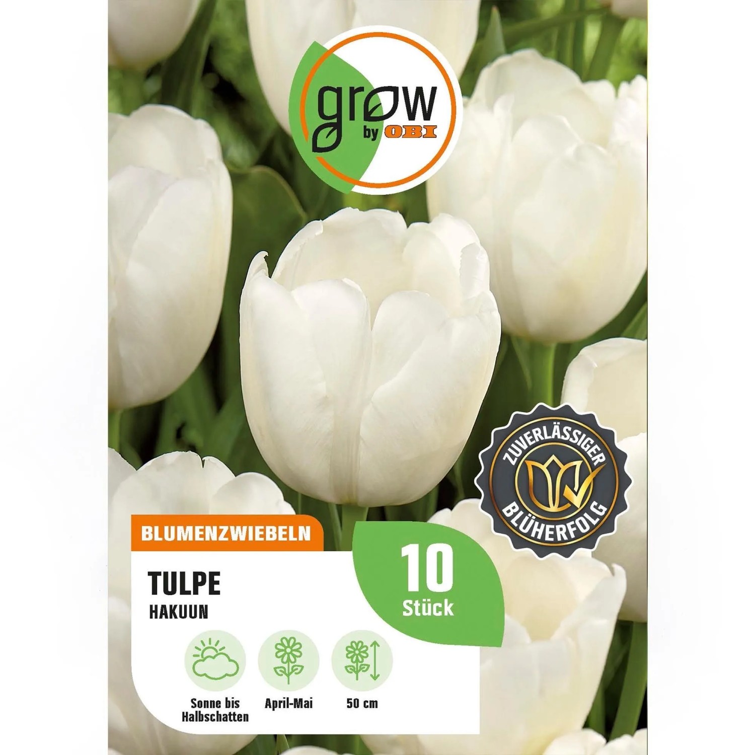 GROW by OBI Tulpe Hakuun Weiß 8 Stück Tulipa Darwin hybrid Hakuun