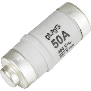 Weiße D02/E18 Schmelzsicherung, 50A träge, für den Schutz vor Überstrom, 10er Pack.