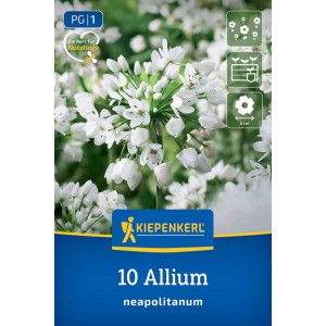 Kiepenkerl Blumenzwiebel Zierlauch A. neapolitanum. Weiße, sternförmige Blüten auf der Produktverpackung, lockt Nützlinge an.