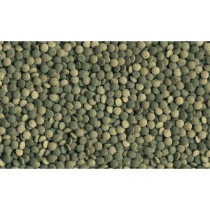 Tetra Pleco Tablets: Fischfutter-Pellets für Bodenfische, reich an Spirulina.