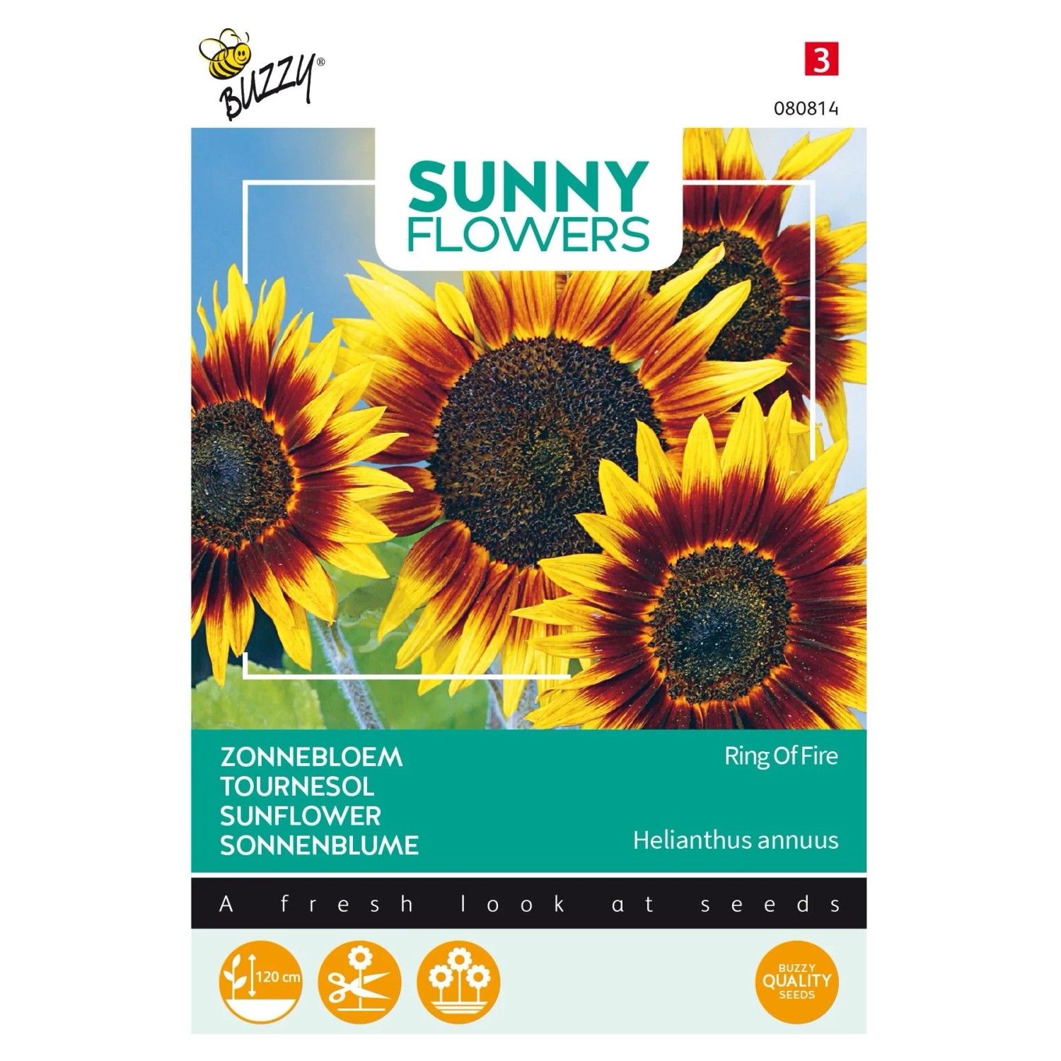 arborix Sonnenblume 'Ring Of Fire' Buzzy Sunny Flowers Samen Ca. 0, 75 G Zweifarbige Blüten