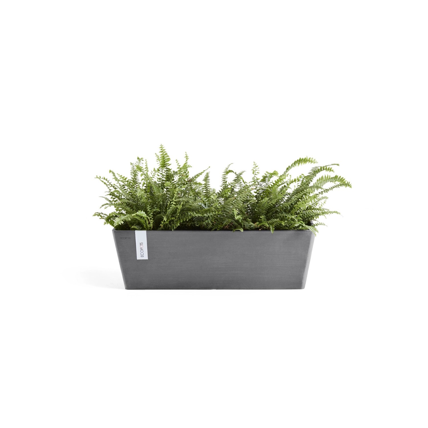 Ecopots Pflanztopf Bruges, grau, 45 cm, mit Farn bepflanzt. Ideal für Balkon und Terrasse.