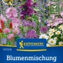 Kiepenkerl Bienenfutterpflanzen Mischung, mehrjährige Blumensamen für Bienen und Nützlinge.