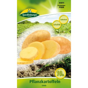 Quedlinburger Pflanzkartoffeln Linda, gelbschalig und gelbfleischig, festkochend.