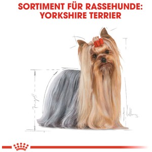 Illustration eines Yorkshire Terriers für Royal Canin Hundefutter.