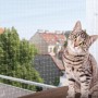 Katze vor Jollypaw Schutznetz für Balkon/Terrasse. Transparentes Sicherheitsnetz 6x3m mit Befestigungsset.