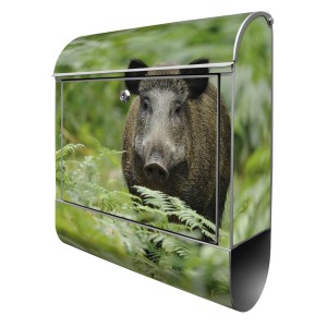 Silberner Briefkasten mit Wildschwein-Motiv und Zeitungsfach. Design Briefkasten für Wand- oder Zaunmontage.