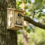 Nistkasten aus hellem Tannenholz am Baumstamm, ein Spatz schaut aus dem Einflugloch. Mit Home Tweet Home Aufschrift.